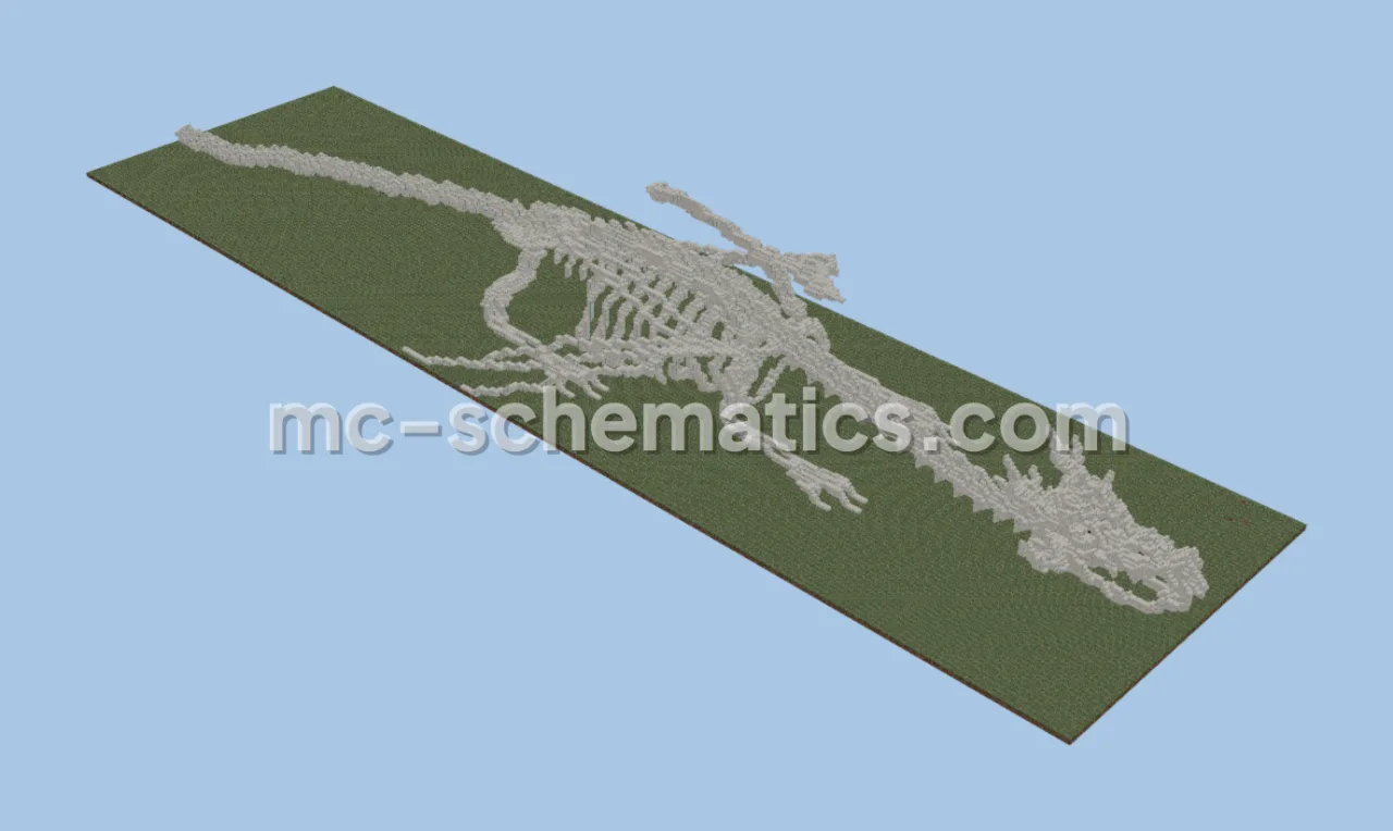 Dragon Skeleton Structure