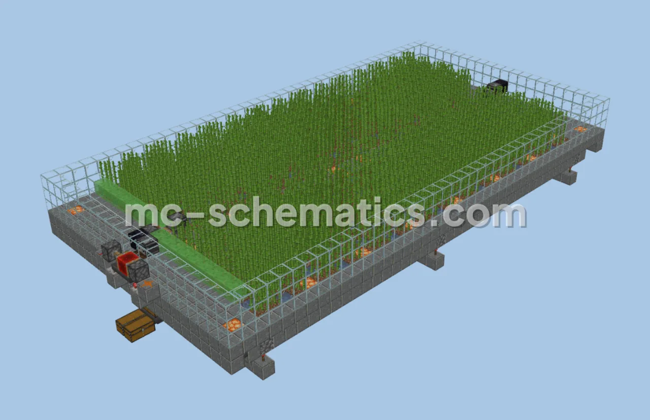 High-Capacity Sugar Cane Farm