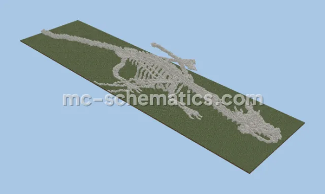 Dragon Skeleton Structure